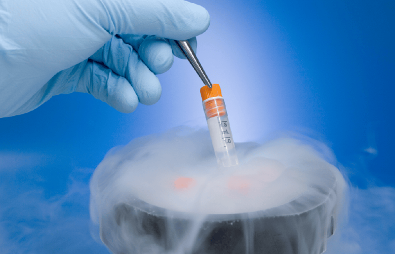 细胞制备：生物科技的未来引擎