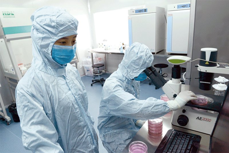 细胞培养：掌握关键技巧，解锁科研新天地